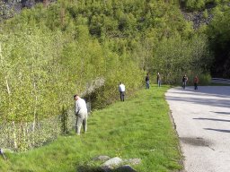Norwegen 2008 Rundereim
